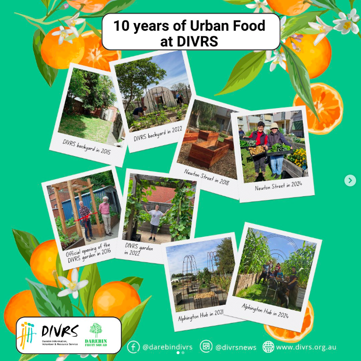 A photo saying "10 years of urban food at DIVRS" accompanied by photos of the various activities at DIVRS.