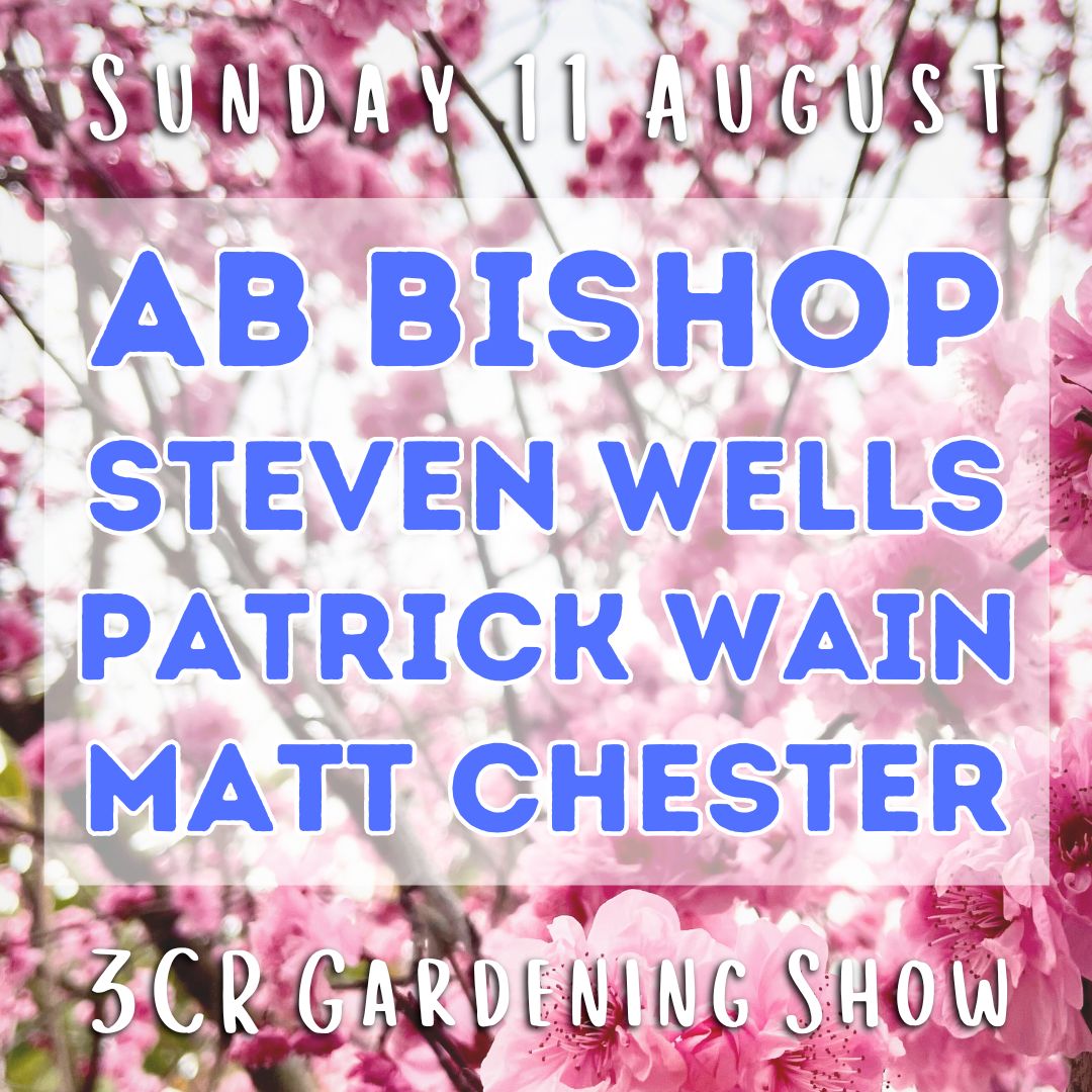 Sunday 11 August, AB Bishop joined by Steven Wells, Patrick Wain and Matt Chester 