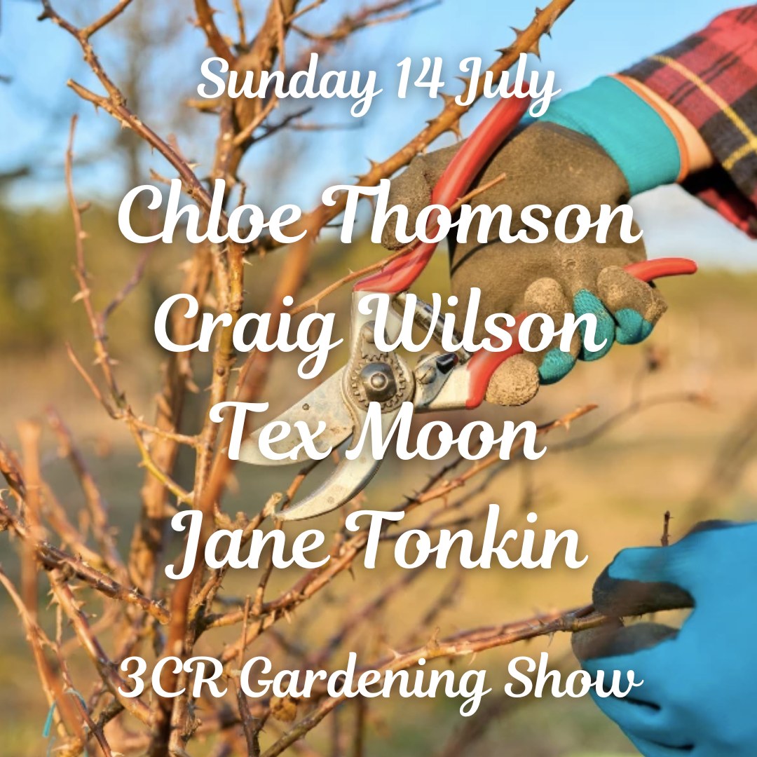 Sunday 14 July, Chloe Thomson joined by Craig Wilson and Jane Tonkin