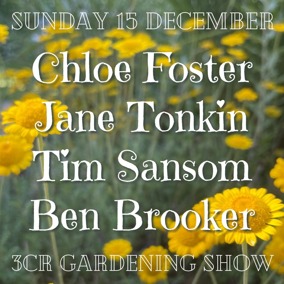 15 December, Chloe Foster joined by Jane Tonkin, Tim Sansom and Ben Brooker