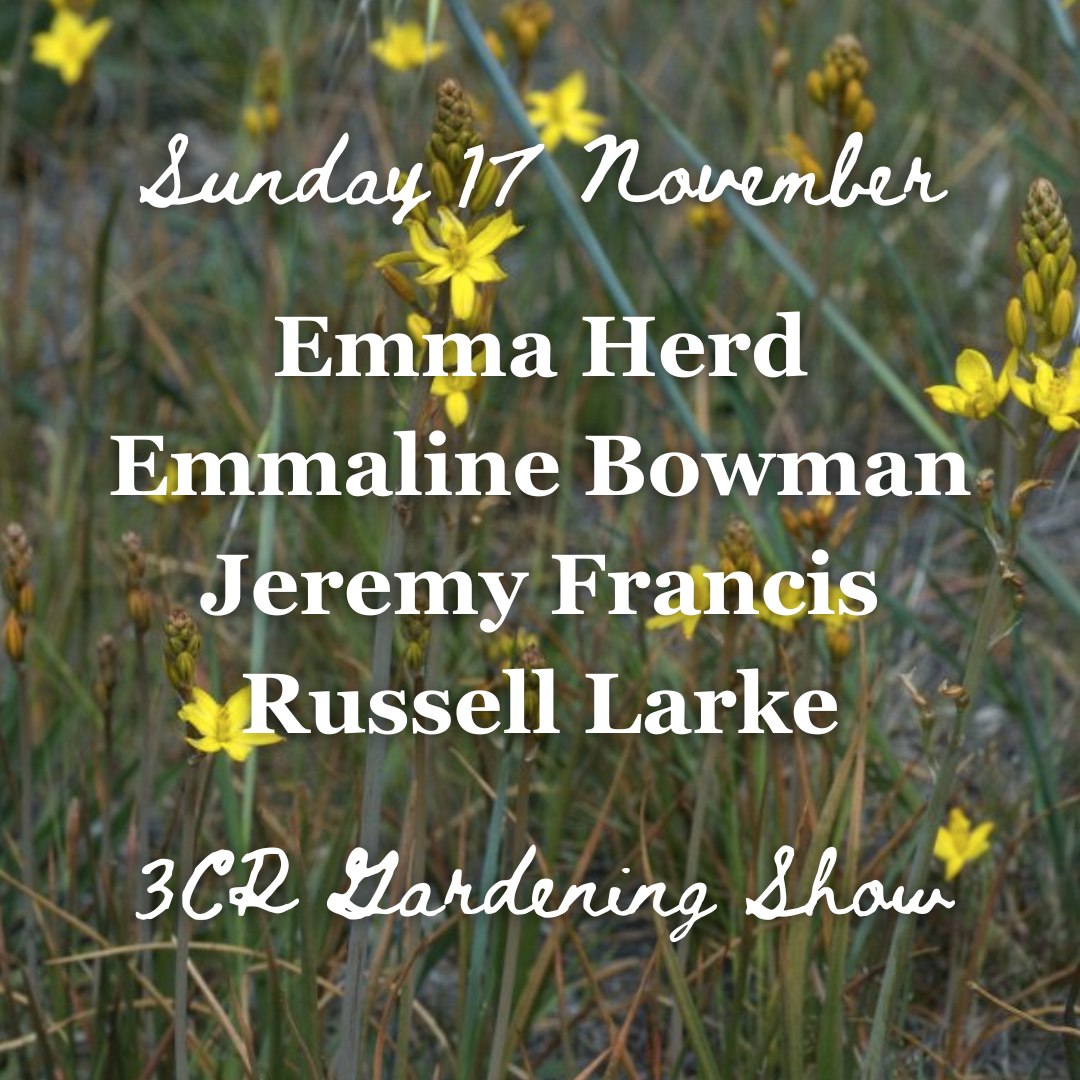 17 November, Emma Herd joined by Emmaline Bowman, Jeremy Francis and Russell Larke