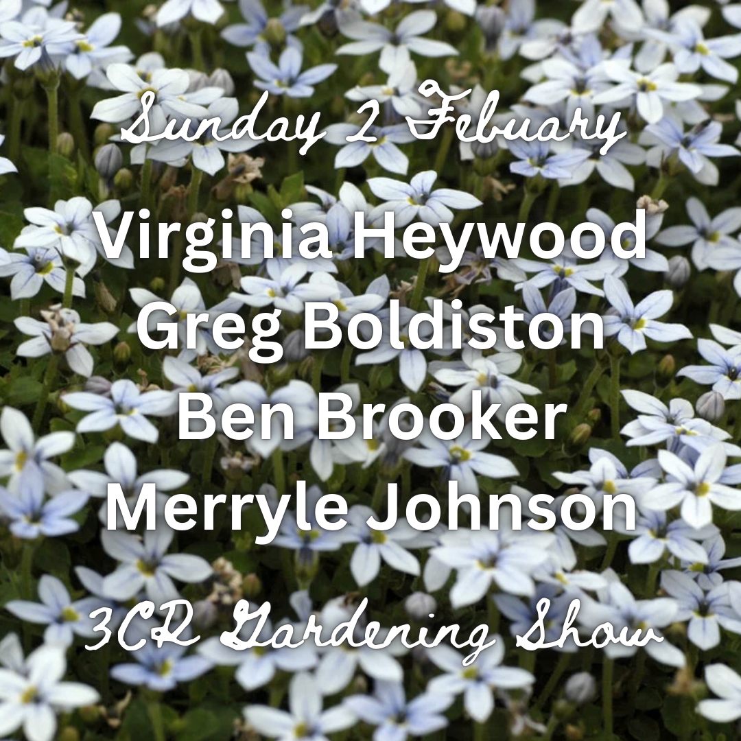 2 February, Virginia Heywood joined by Greg Boldiston, Ben Brooker & Merryle Johnson