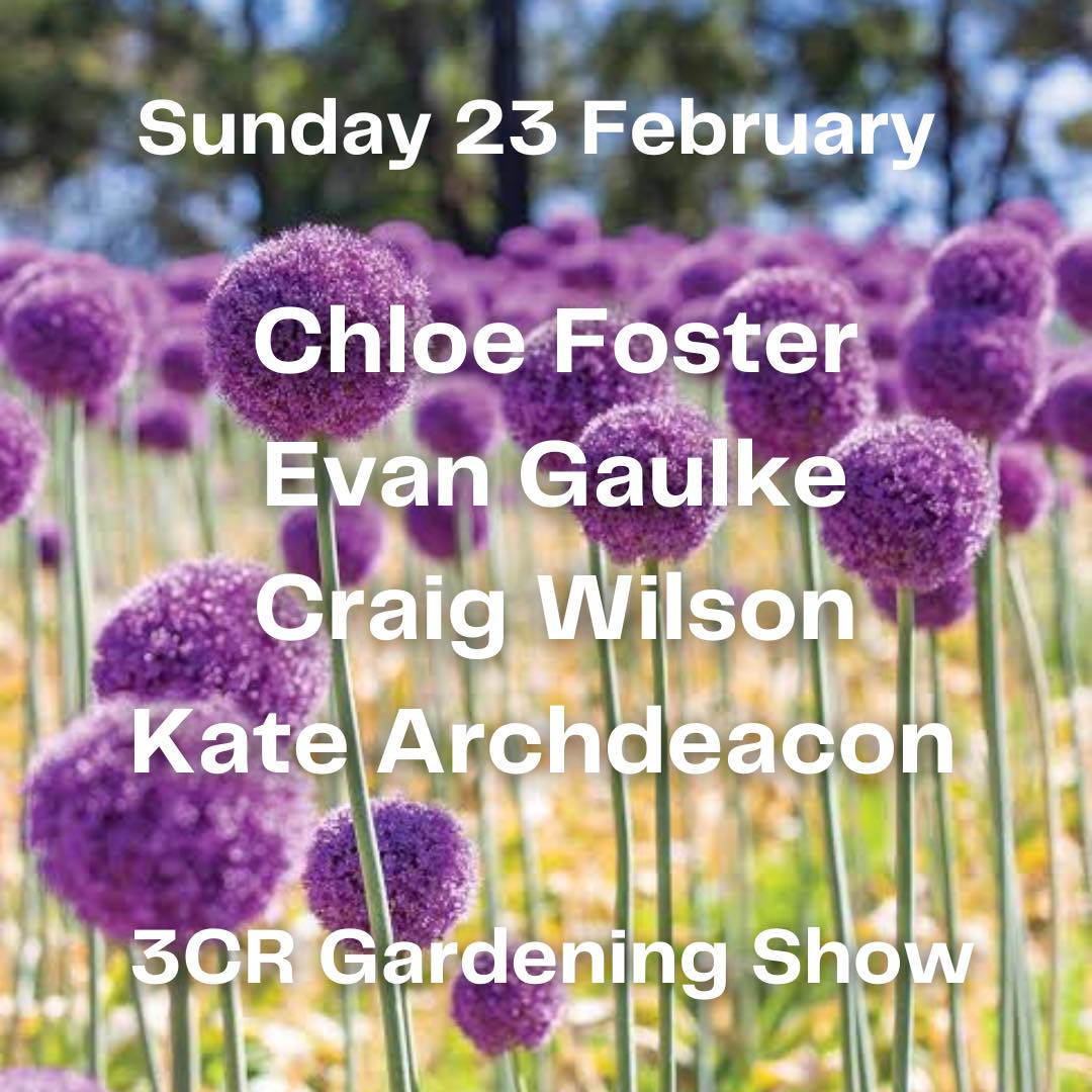 23 February, Chloe Foster joined by Evan Gaulke, Craig Wilson and Kate Archdeacon