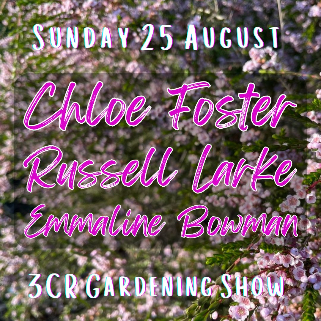 25 August, Chloe Foster joined by Russell Larke and Emmaline Bowman