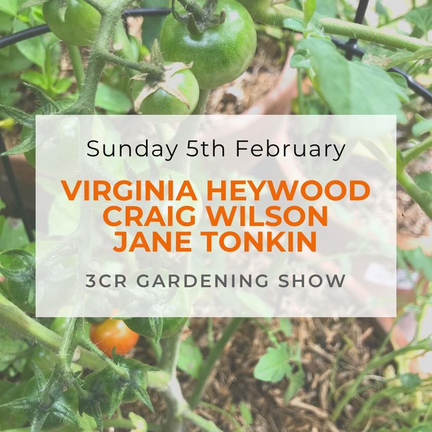 3CR Gardening Show  - Virginia Heywood will be joined by Jane Tonkin and Craig Wilson