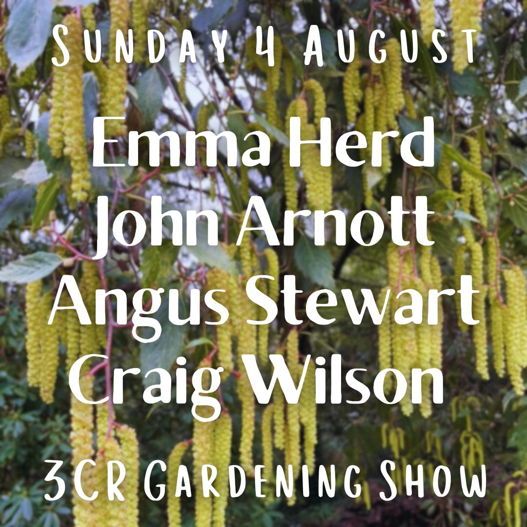 4 August, Emma Herd joined by John Arnott, Angus Stewart and Craig Wilson