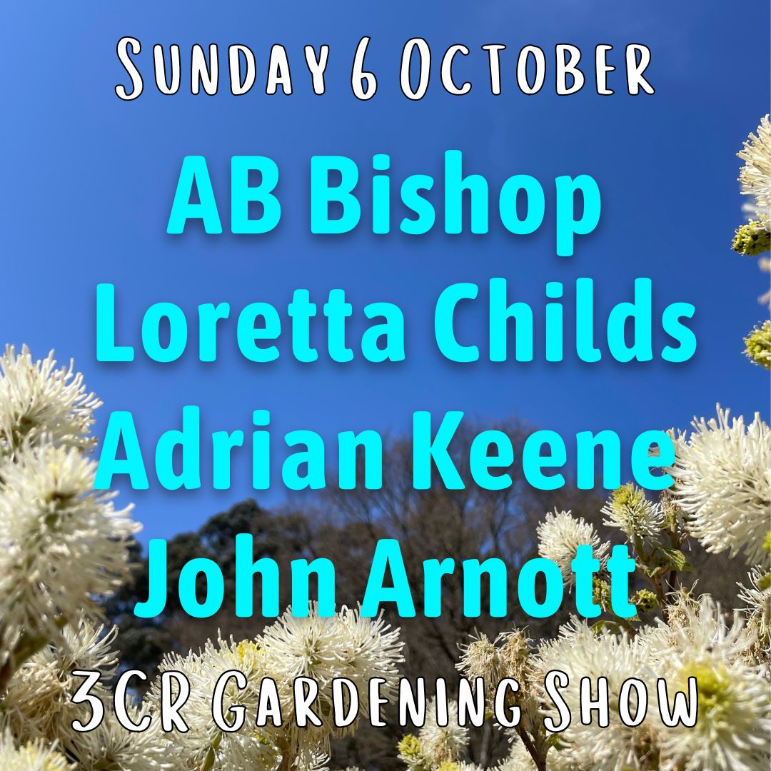 6 October, AB Bishop joined by Loretta Childs, Adrian Keene and John Arnott