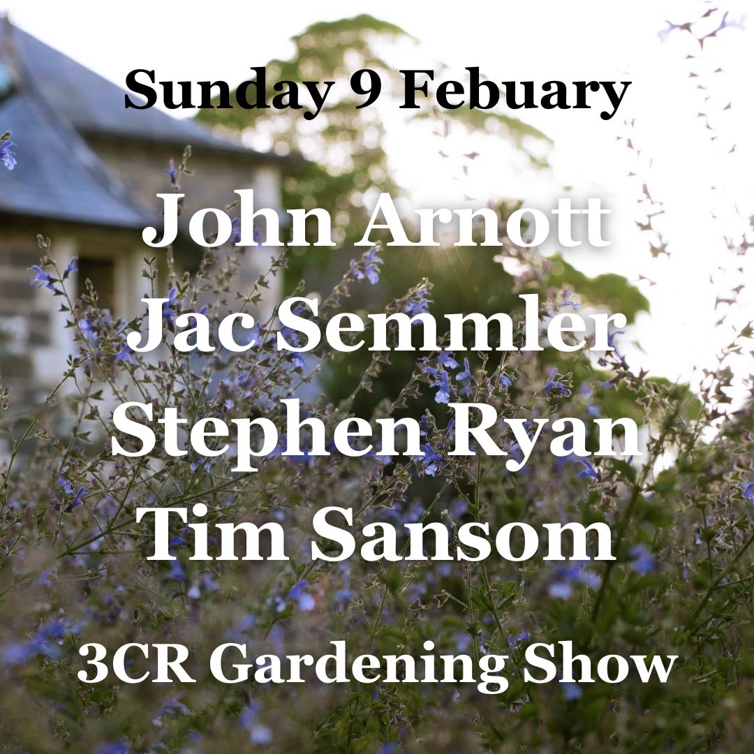 9 February, John Arnott joined by Jac Semmler, Stephen Ryan and Tim Sansom