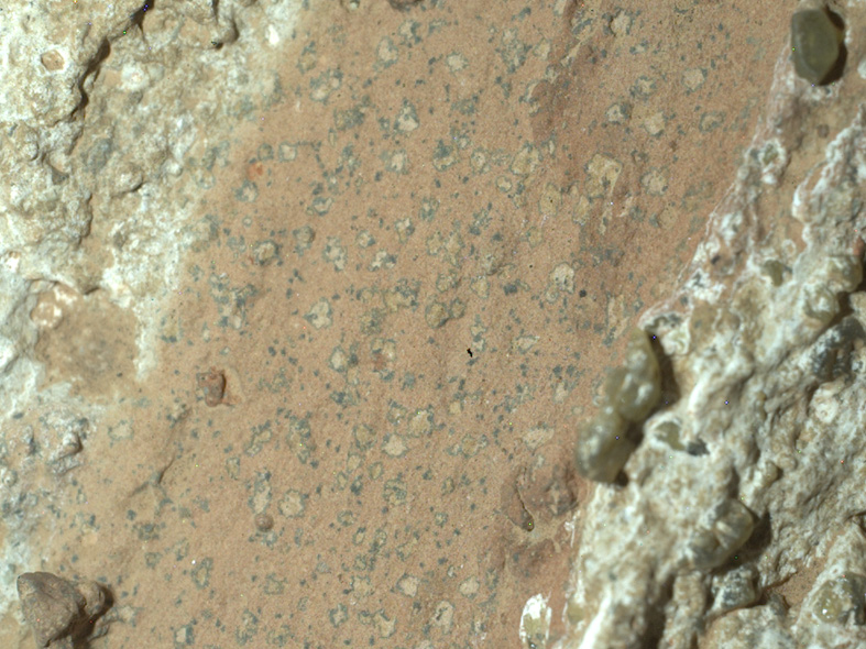 Close-up of the rock "Cheyava Falls" found on Mars by the Perseverance Rover, with "leopard spots" that on Earth would be signs of microbial activity (photo by NASA/JPL-Caltech/MSSS)