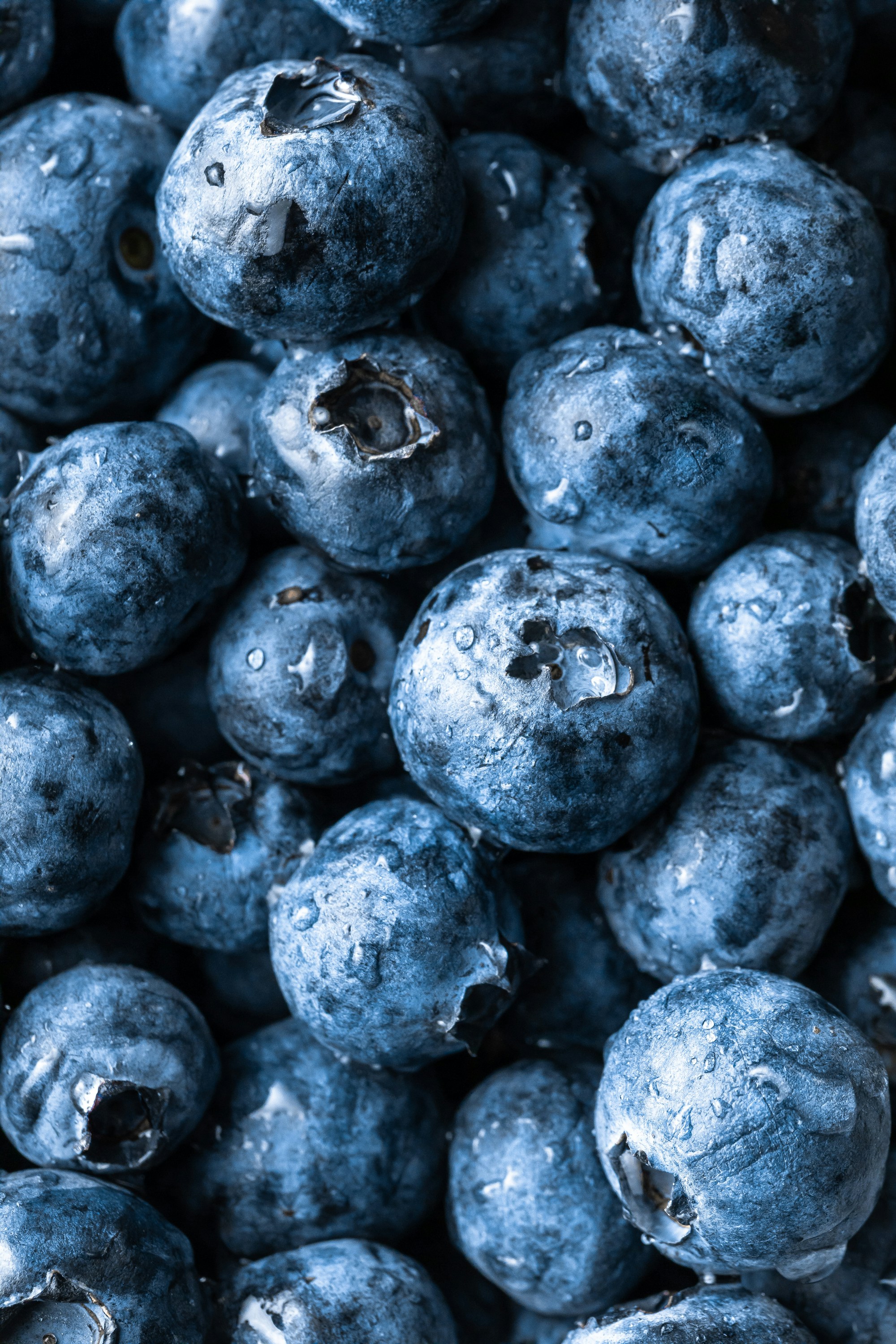 Blueberries