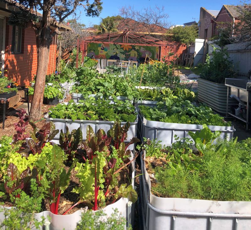 A Farm with veggie veggie patches