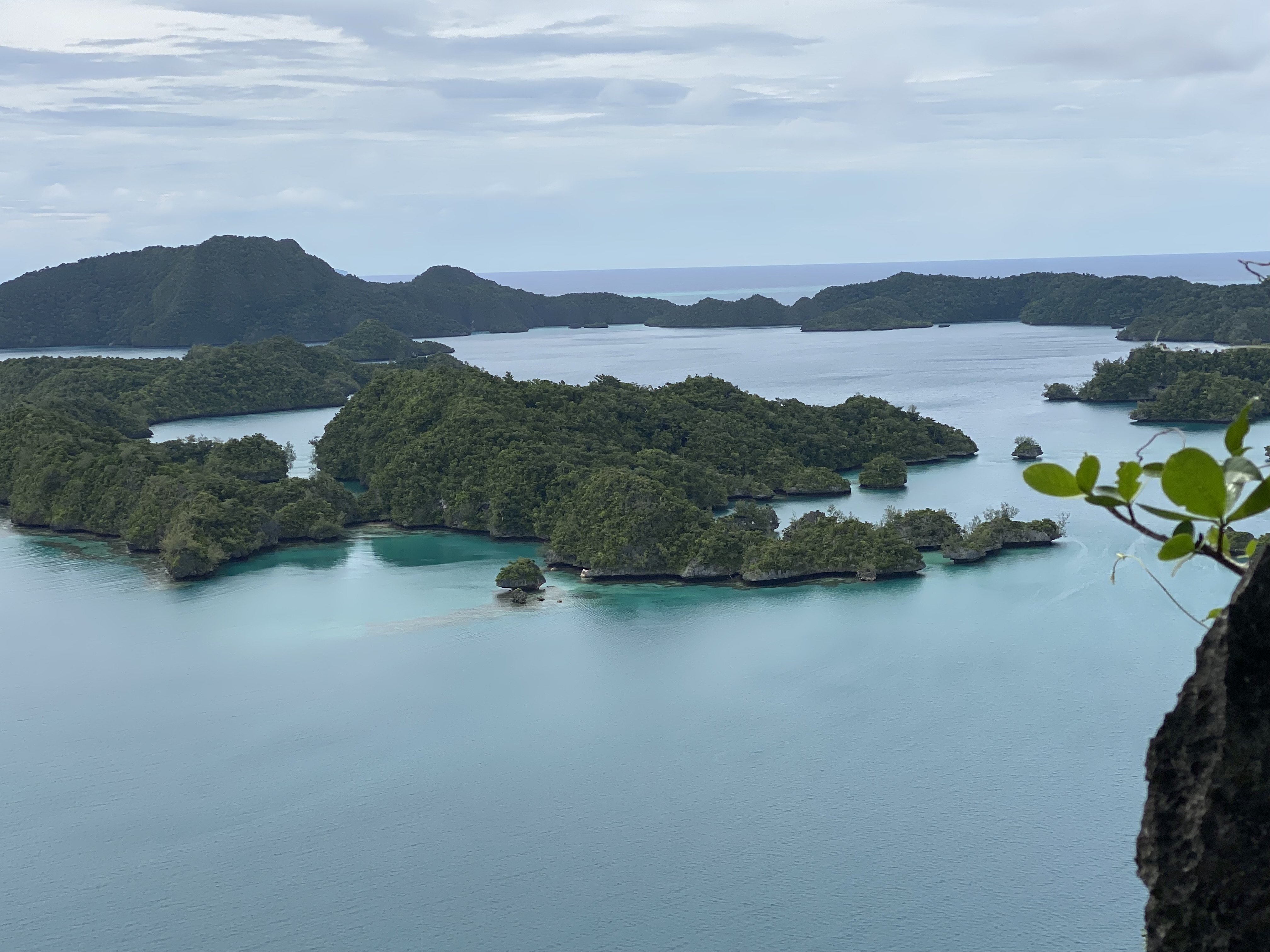 A photograph looking down on a cluster of small islands covered with dense vegetation.