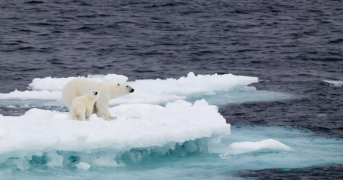 After the election: Labor and Climate 