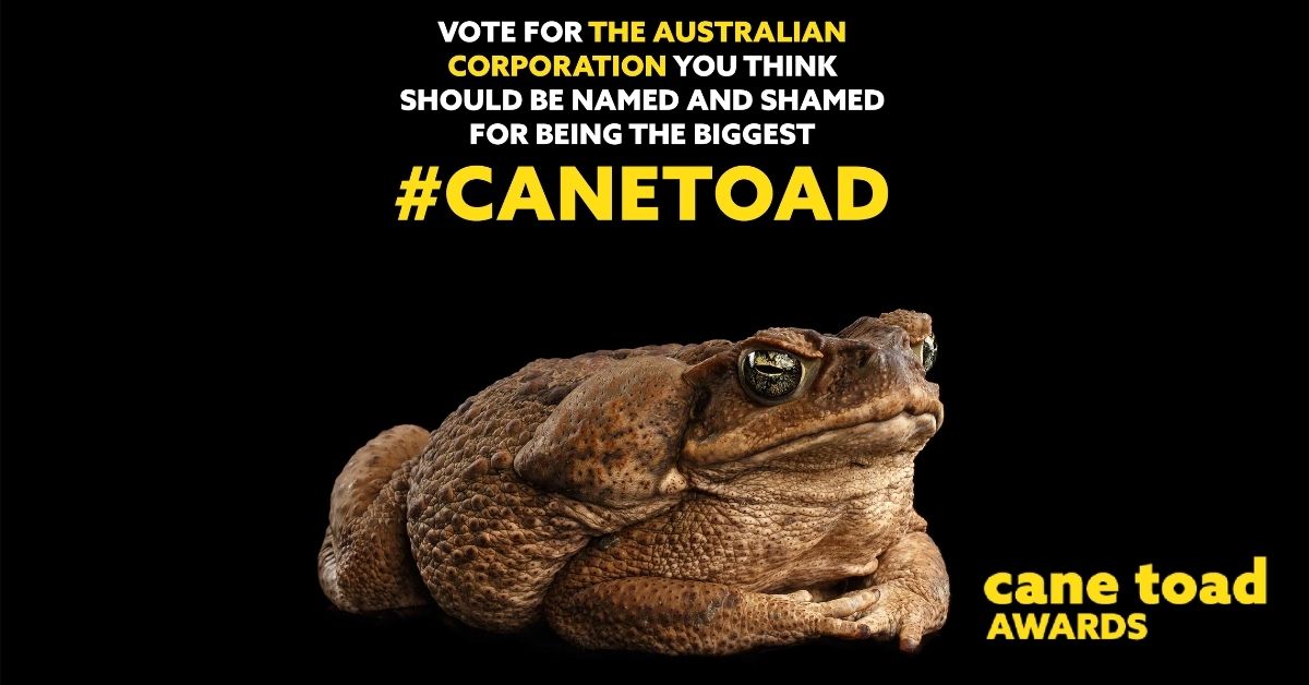 Cane Toad Awards