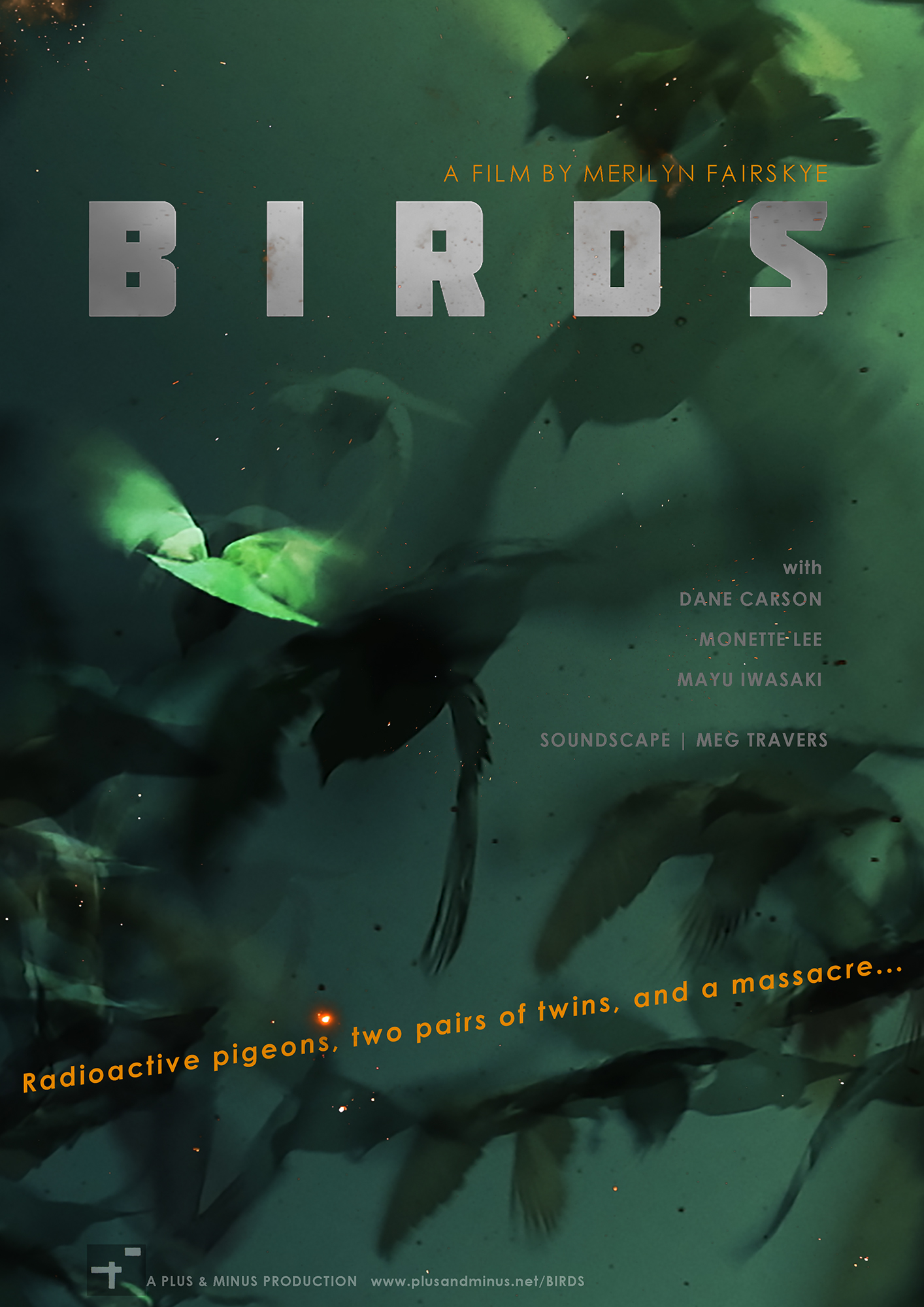 Poster for "BIRDS" film by Merilyn Fairskye with image of distorted pigeons on blue background