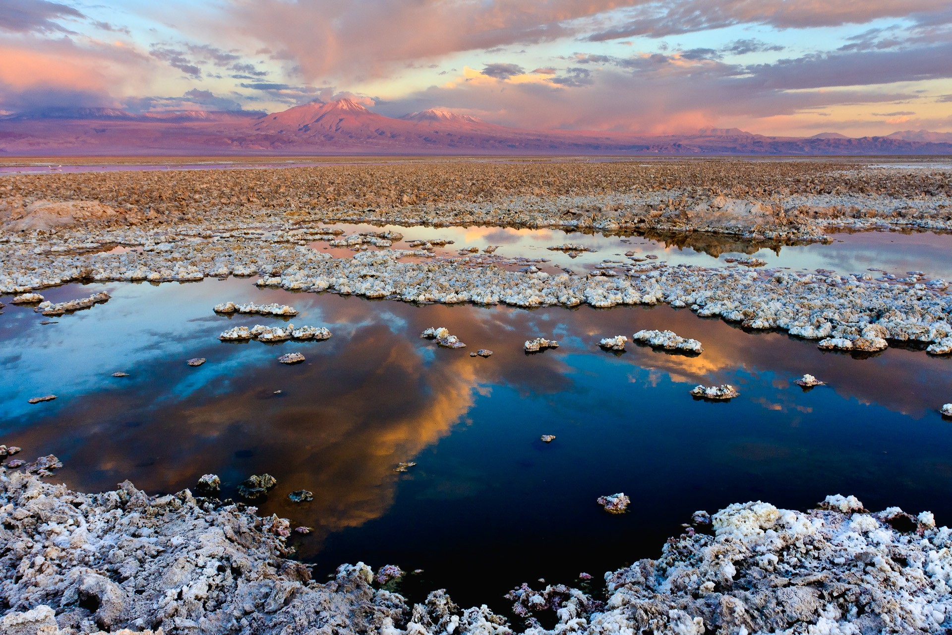 Salar de Atacama, Antofagasta, Chile