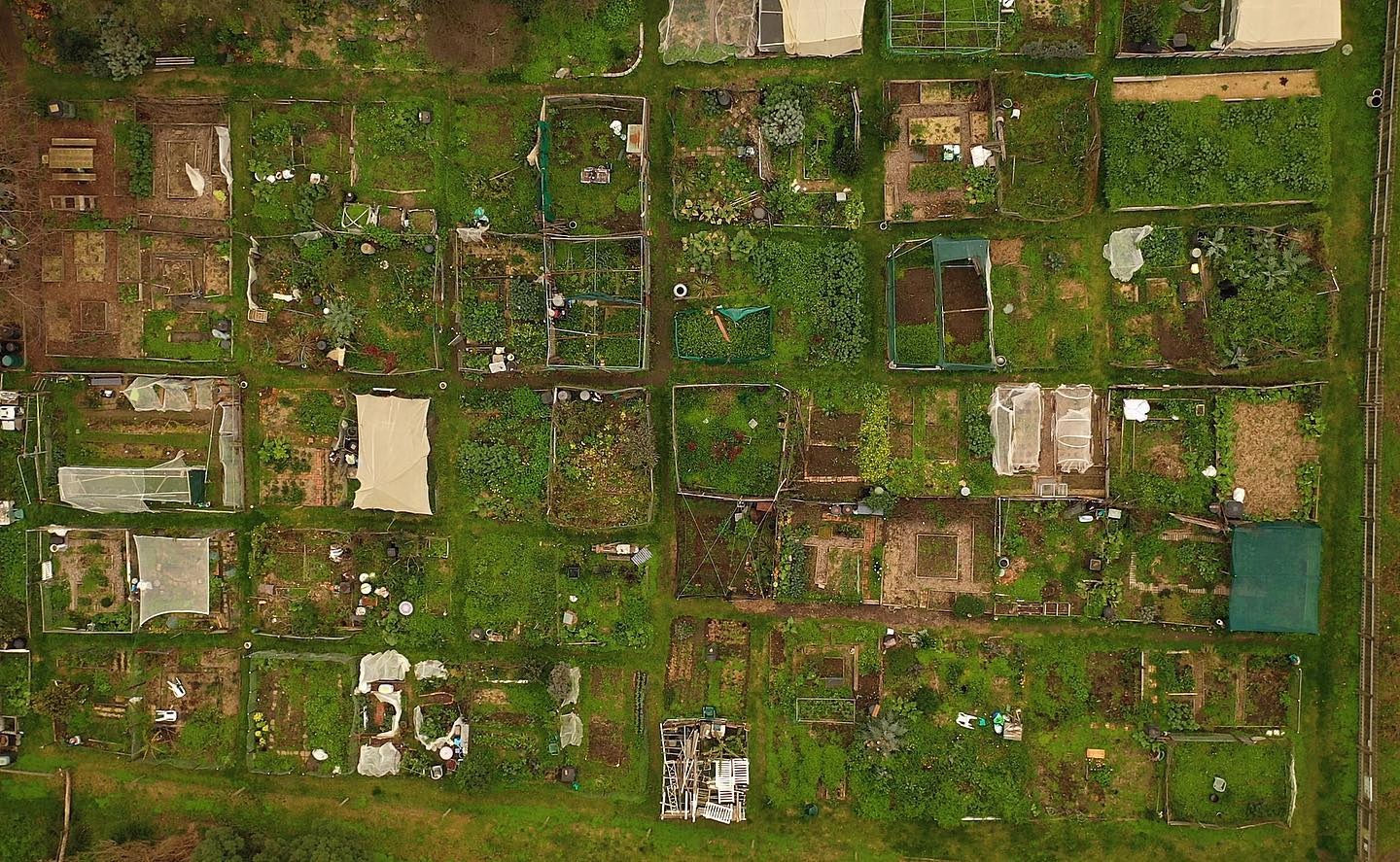 Collingwood Community Garden overview