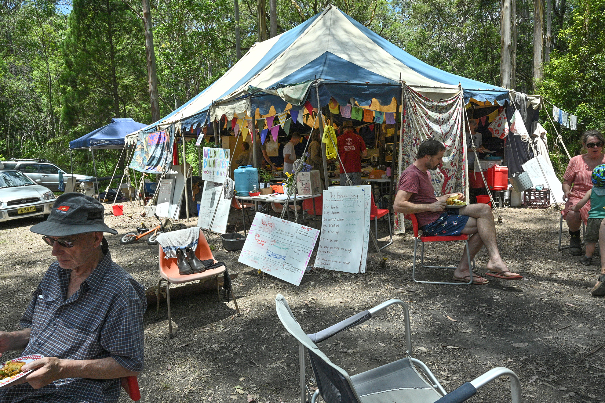 Save Bulga Forest Camp, Ellenborough Falls, Elands, NSW, 2429