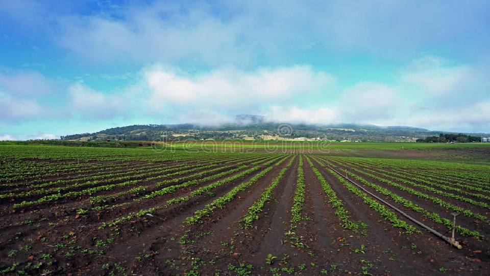 Chemicals in our landscapes?