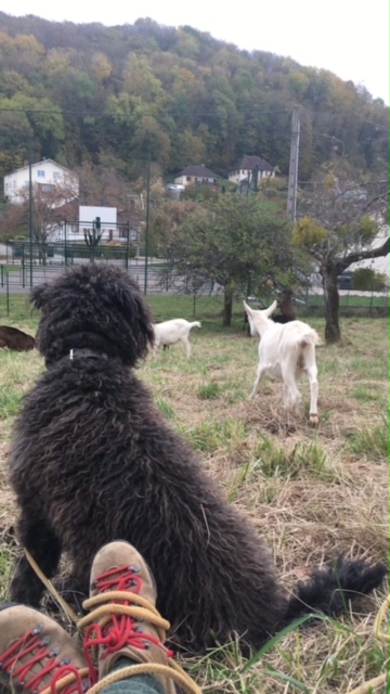 Carmen and Smokey