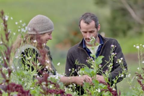 Biodynamic and Organic Transition Farm