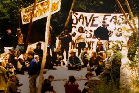 A group of protesters blocking a road in a forest with a wooden structure.