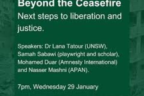 Image of Webinar Advertisment Green tile with words Beyond the Ceasefire 