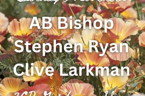 3 November, AB Bishop, Stephen Ryan and Clive Larkman