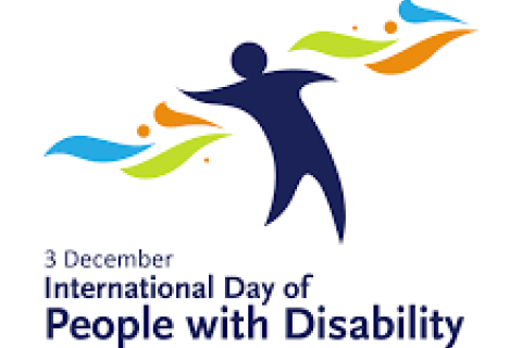 IDPWD logo