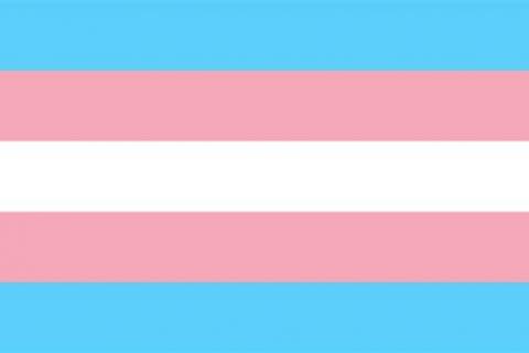 trans flag light blue pink and white horizontal stripes