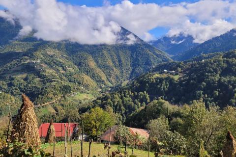  Landscape in Merisi, Adjara, Georgia (October 2024). Photo by Lloyd O'Hanlon