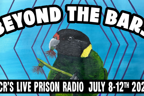 blue watery image with a native bird parrot holding a gum tree branch. Text reads 'beyond the bars'