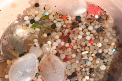 Microplastics