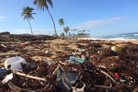 Plastic pollution on beach