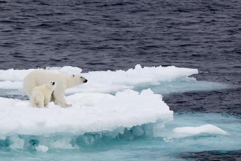 After the election: Labor and Climate 