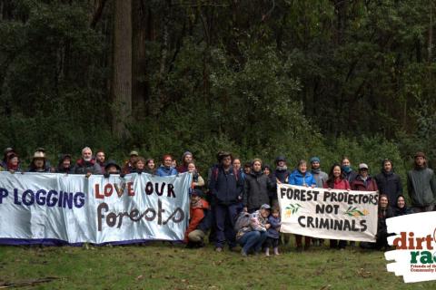 Picture of forest protectors in forest with banners