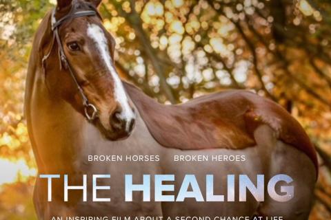 The Healing