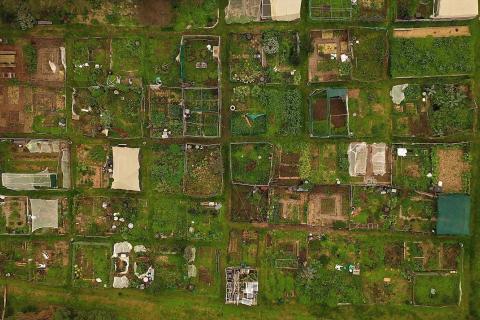 Collingwood Community Garden overview