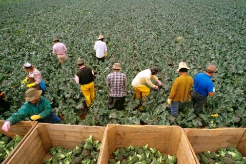 One step closer to fair pay for farm workers