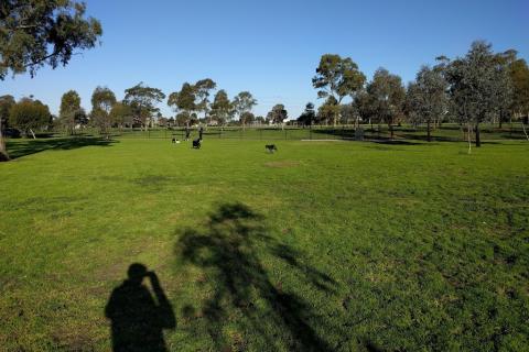 McIvor Reserve