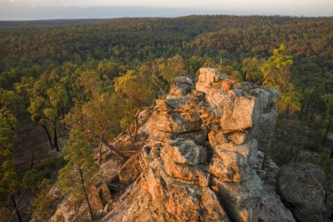 Pilliga State Forest under Threat - Santos to drill Artesian Basin