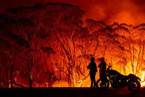 The 2020 bushfire season is staggering.