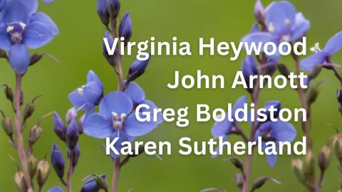 24 November, Virginia Heywood joined by John Arnott, Greg Boldiston and Karen Sutherland