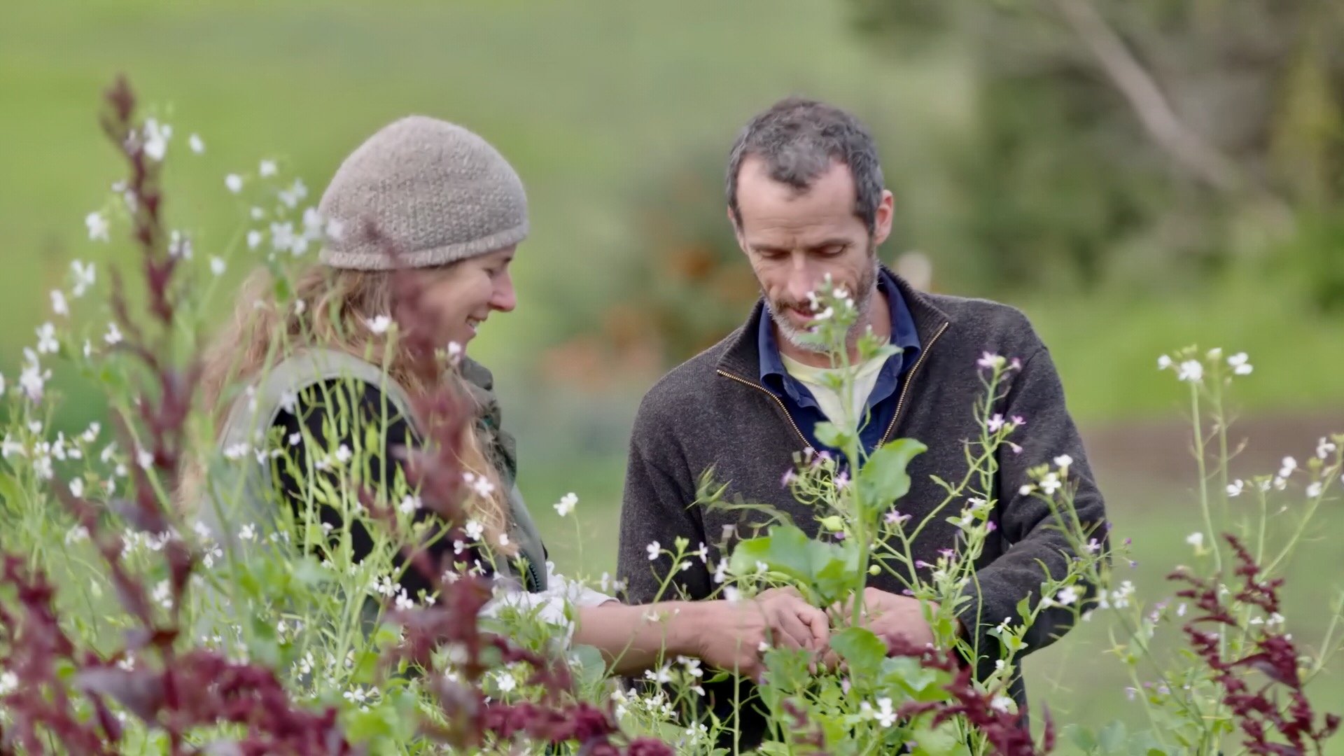 Biodynamic and Organic Transition Farm