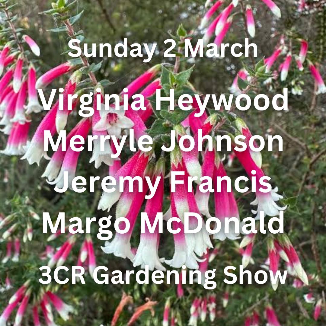 2 March, Virginia Heywood joined by Merryle Johnson, Jeremy Francis & Margo McDonald