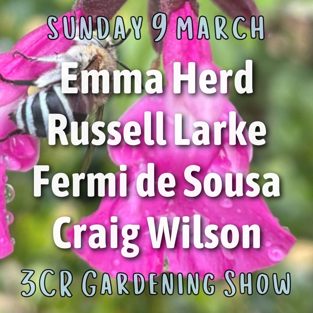 9 March, Emma Herd joined by Russell Larke, Fermi de Sousa and Craig Wilson