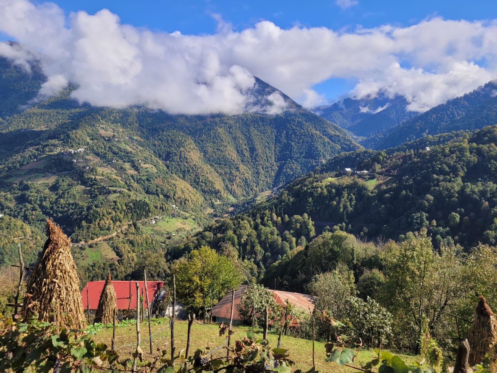  Landscape in Merisi, Adjara, Georgia (October 2024). Photo by Lloyd O'Hanlon