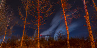 These trees are gone. Bulgaria - Photo: Vladislav Lepoev Climate Visuals Countdown.