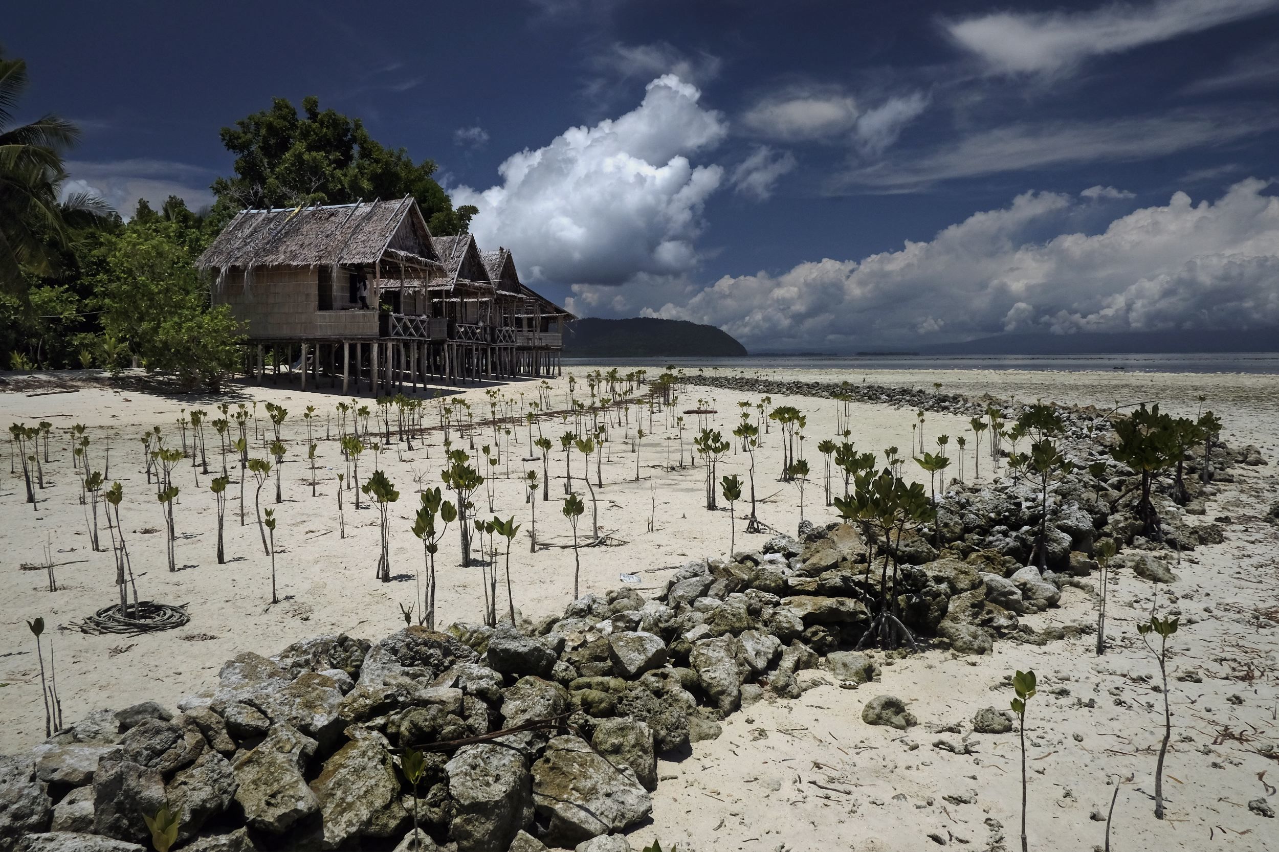 Arborek Island West Papua. Coral barrier and mangrove planting Photo: Alain Schroeder Climate Visuals