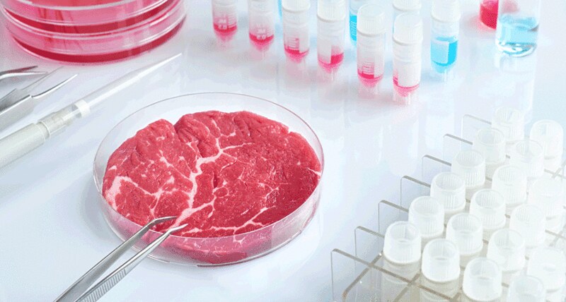 Image of cultured meat from Reeko Science on flickr.com